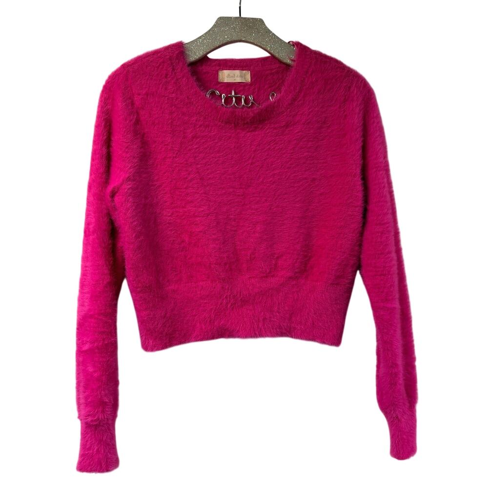 Altard State Hot Pink Fuzzy Crop Sweater Crewneck Pullover Eyelash